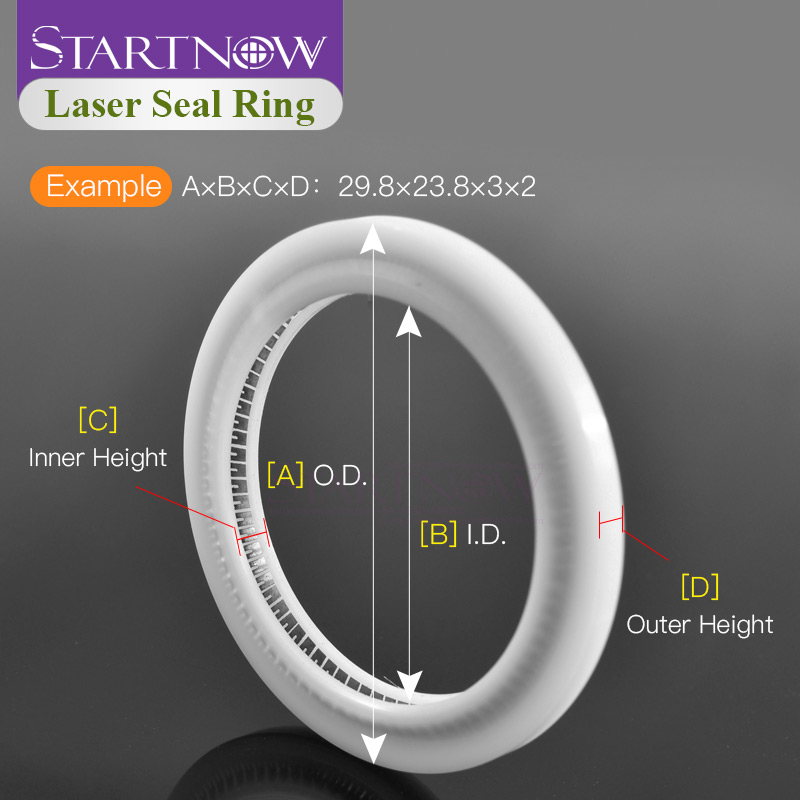 Startnow 레이저 실링 링 (WSX Raytool - Industrial Fiber Laser 리뷰 및 가격